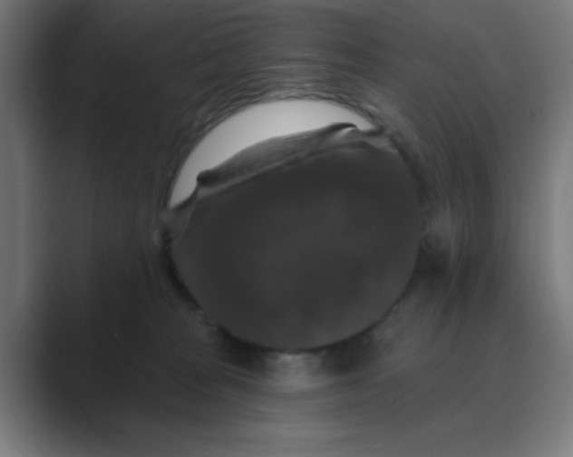X0000088430277200706191240