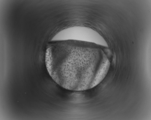 X0000088430280200706191240