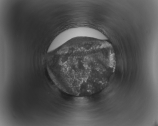 X0000088430281200706191240