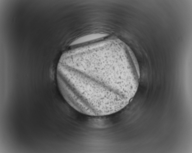 X0000088430282200706191240