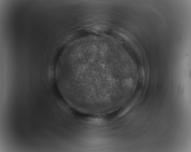 X0000088430284200706191240