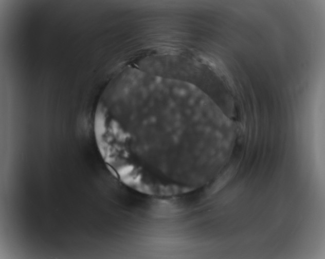 X0000088430285200706191240