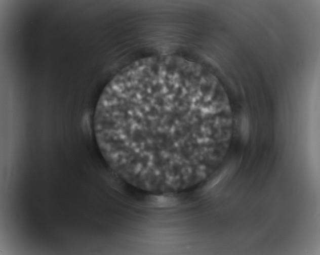 X0000088430286200706191240