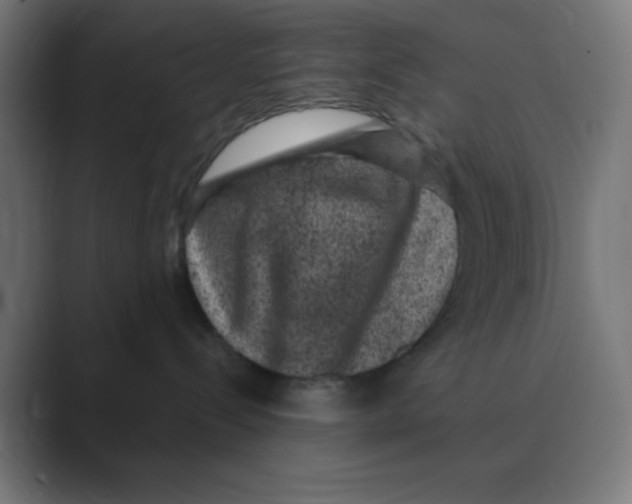 X0000088430288200706191240