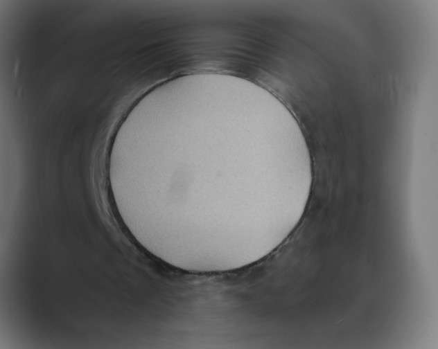 X0000088430289200706191239
