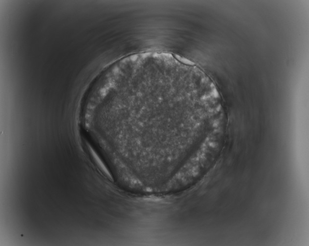 X0000088430290200706191239