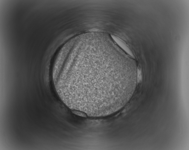 X0000088430291200706191239