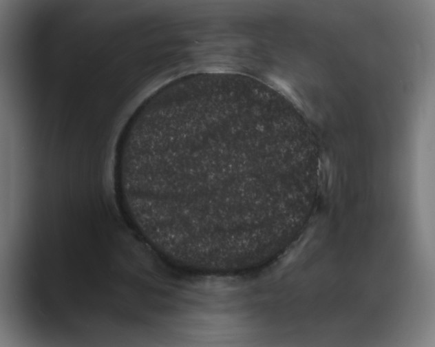 X0000088430292200706191239