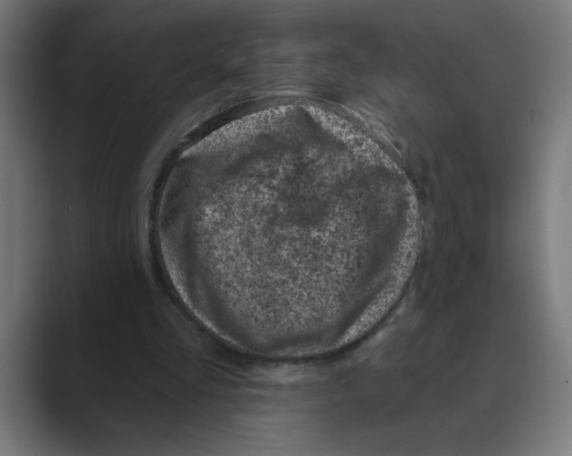X0000088430293200706191239
