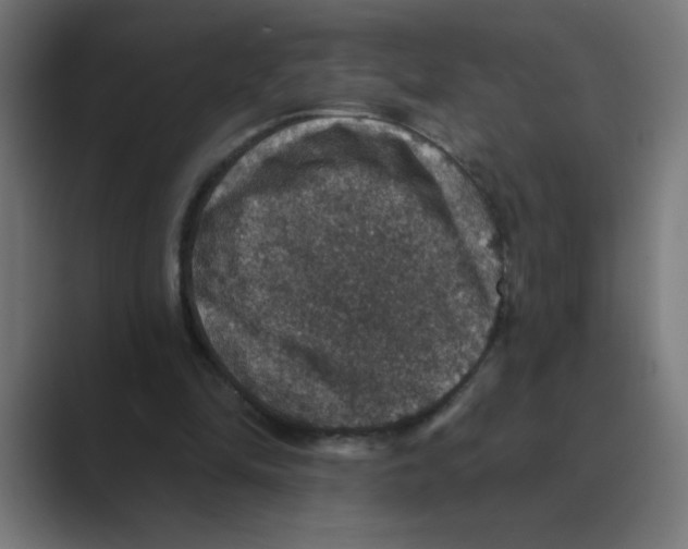X0000088430294200706191239