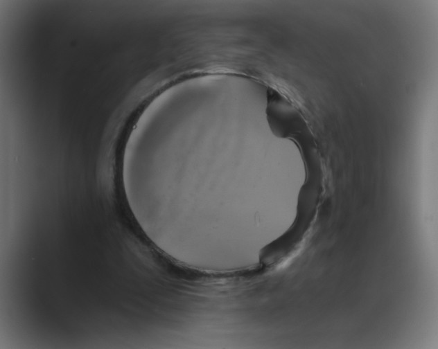 X0000088430295200706191239