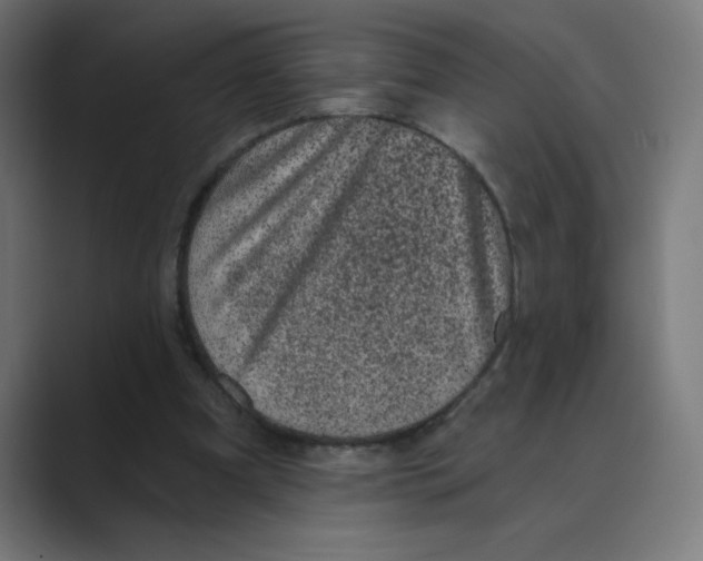 X0000088430297200706191239