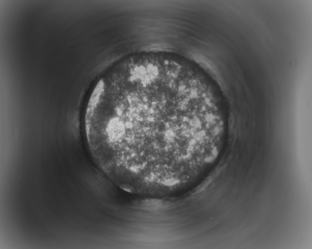 X0000088430298200706191239