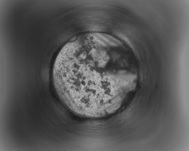 X0000088430299200706191239
