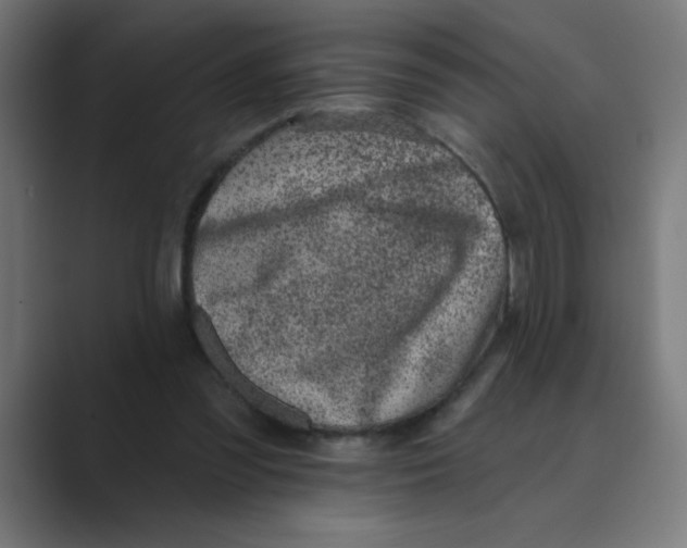 X0000088430301200706191239