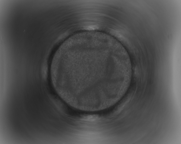X0000088430304200706191239