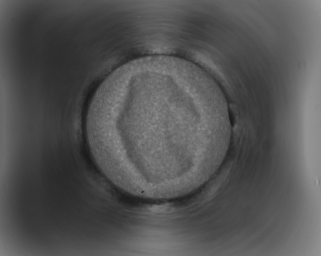 X0000088430306200706191239