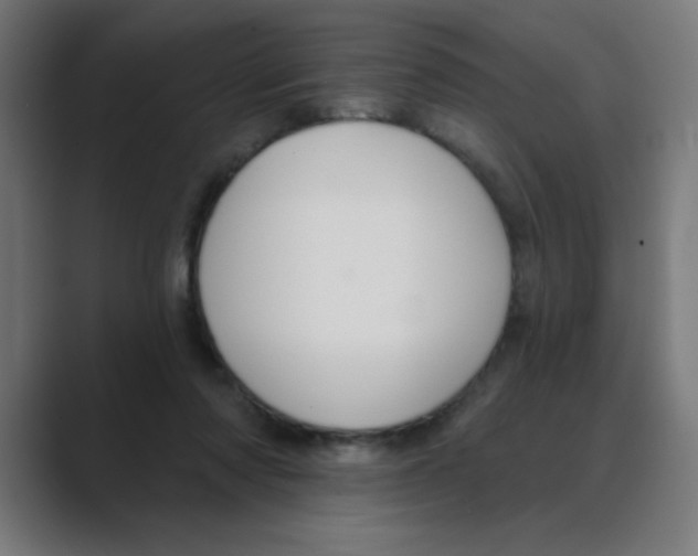 X0000088430310200706191239