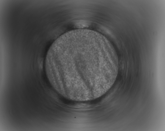 X0000088430315200706191239