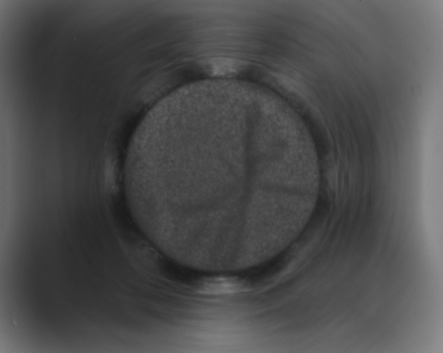 X0000088430316200706191239
