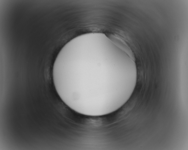 X0000088430317200706191239