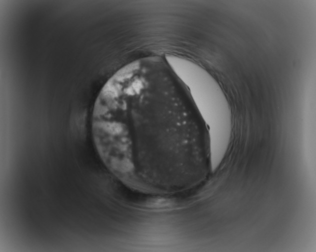 X0000088430319200706191239