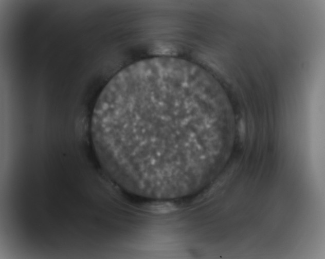 X0000088430322200706191239