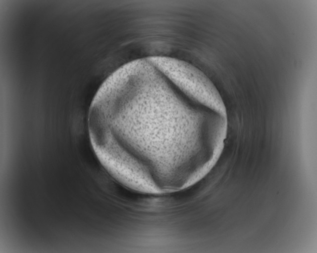 X0000088430323200706191239