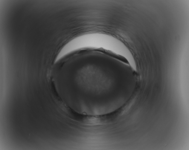 X0000088430325200706191239