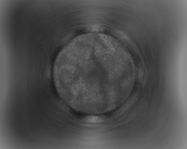 X0000088430326200706191239