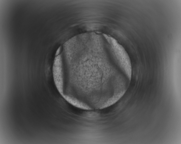X0000088430327200706191239