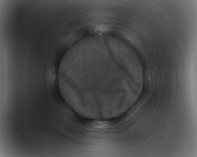 X0000088430328200706191239