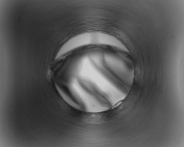 X0000088430329200706191239