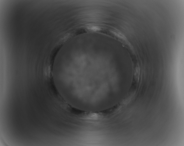 X0000088430330200706191239