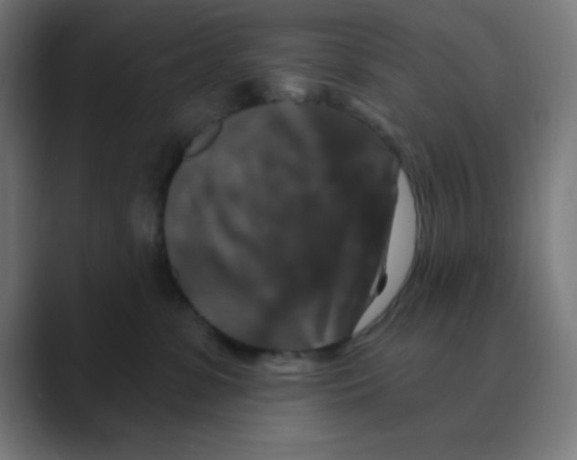 X0000088430331200706191238