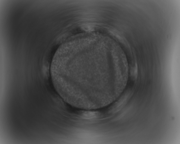 X0000088430332200706191238