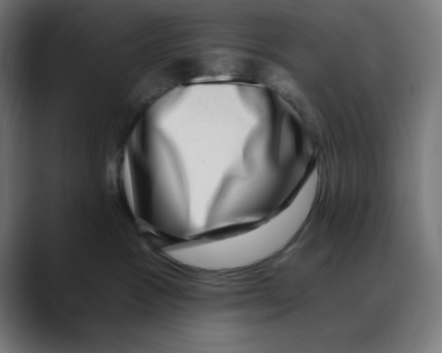 X0000088430333200706191238