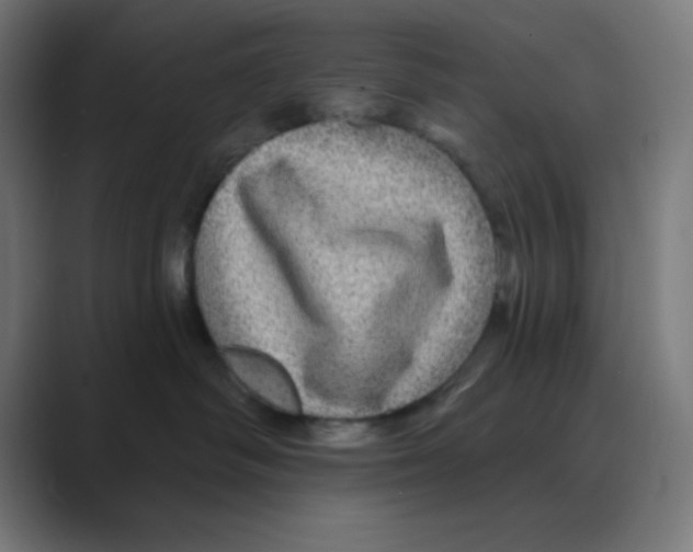 X0000088430334200706191238
