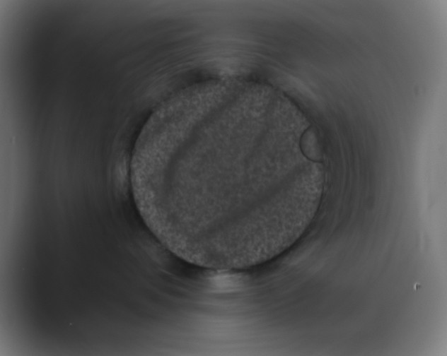 X0000088430336200706191238