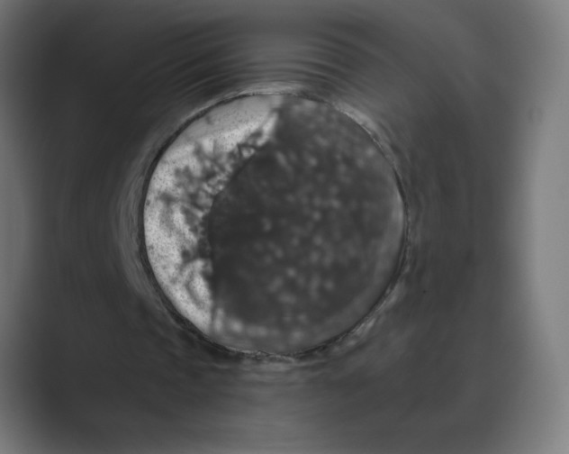 X0000088430337200706191238