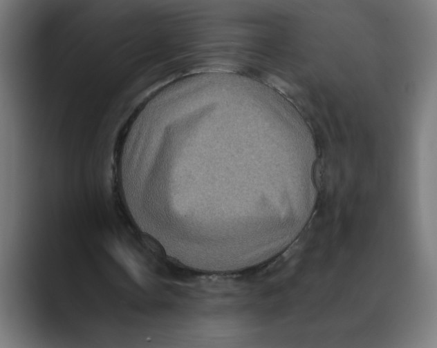 X0000088430338200706191238