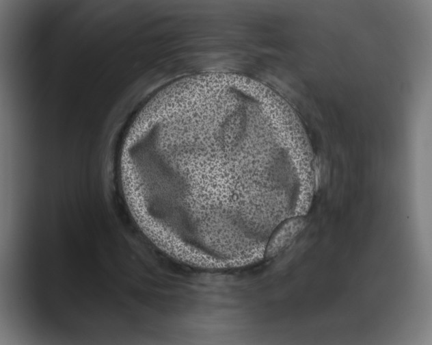 X0000088430339200706191238