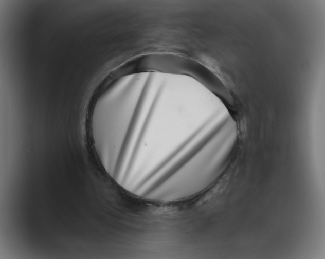 X0000088430340200706191238
