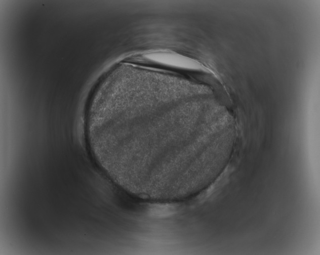 X0000088430342200706191238