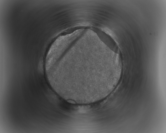 X0000088430345200706191238
