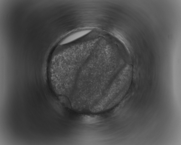 X0000088430346200706191238