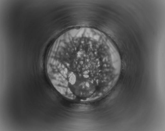 X0000088430347200706191238