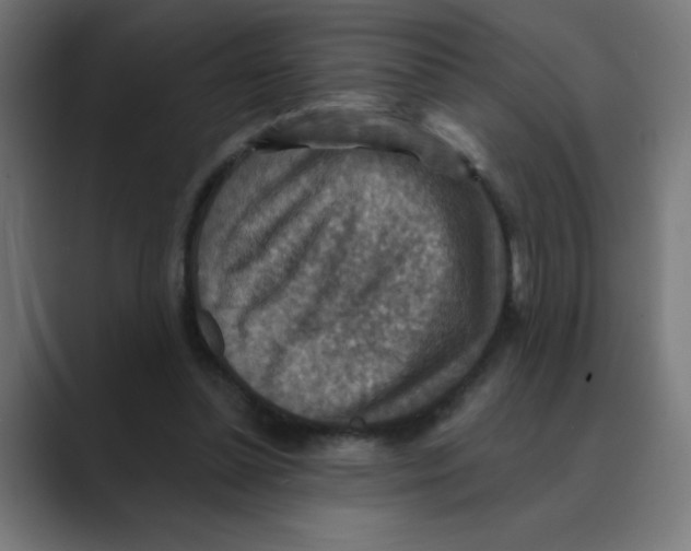 X0000088430348200706191238