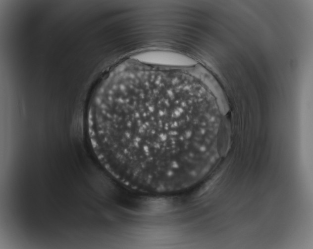 X0000088430349200706191238
