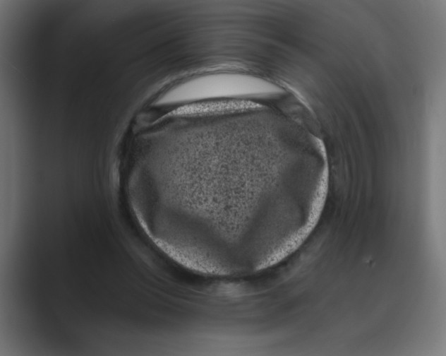 X0000088430350200706191238